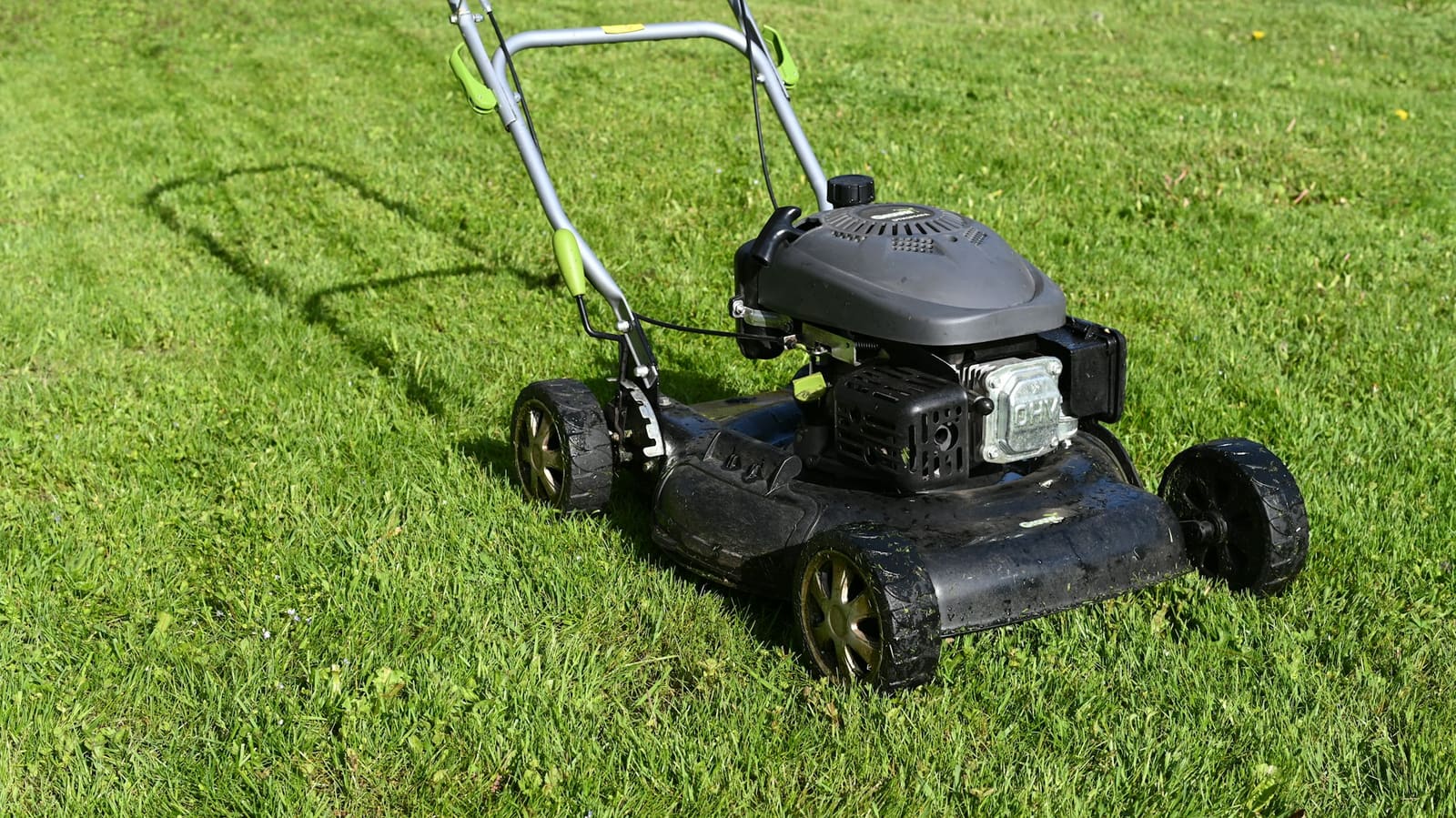 Työnnettävä bensiiniruohonleikkuri vihreällä nurmikolla